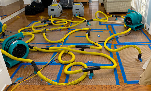 Professional Water Extraction technician working in Hartford, AL